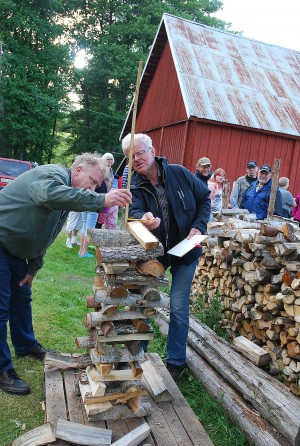 Kölingaredsdagen -13 045